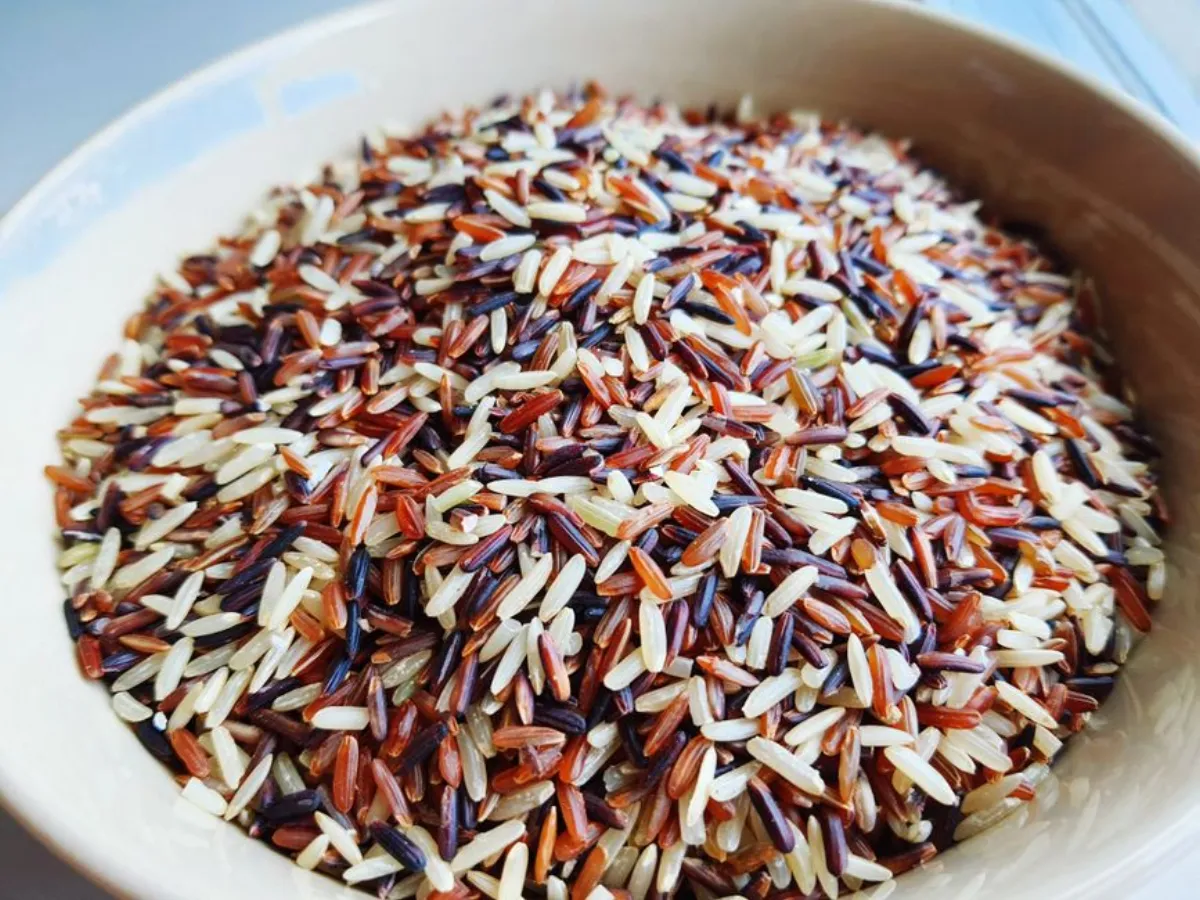 rice varieties